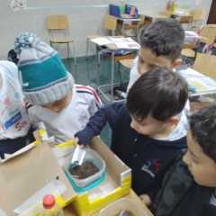 2023-piox-frutos-15