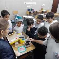 2023-piox-frutos-18