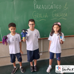 2024-gralha-piox-34