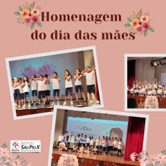 2024-maes-piox-1
