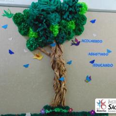 2025-inicio-aulas-instituto-sao-piox-72