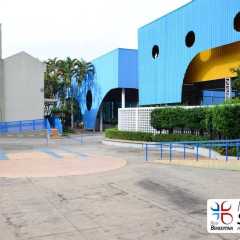 piox-redebeneditina-38