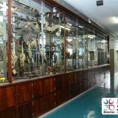 piox-redebeneditina-6