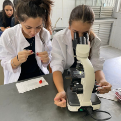 2024-biogeoquimica-piox-7
