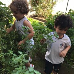 2023-jardim-sentidos-ed-inf-piox-1
