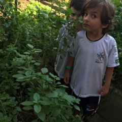 2023-jardim-sentidos-ed-inf-piox-33