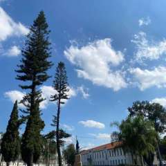 2025-6e7ano-foguetes-instituto-sao-piox-9