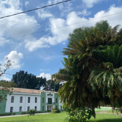 2025-foguetes-8e9ano-instituto-sao-piox-4