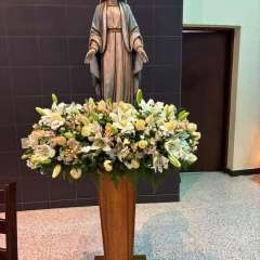 2025-formatura-instituto-sao-piox-osasco-421