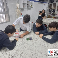 2024-laboratorio-6ano-pioxi-1