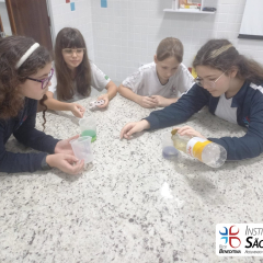 2024-laboratorio-6ano-pioxi-10