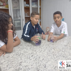 2024-laboratorio-6ano-pioxi-11