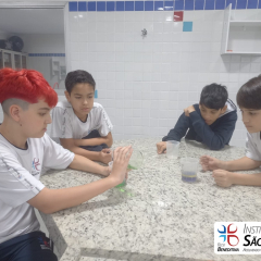 2024-laboratorio-6ano-pioxi-12