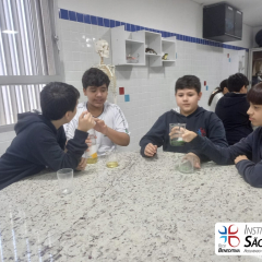 2024-laboratorio-6ano-pioxi-14