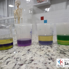 2024-laboratorio-6ano-pioxi-18