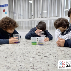 2024-laboratorio-6ano-pioxi-19