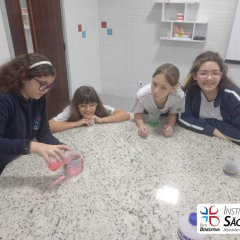 2024-laboratorio-6ano-pioxi-2