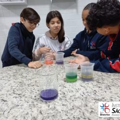 2024-laboratorio-6ano-pioxi-21