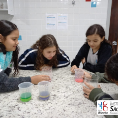 2024-laboratorio-6ano-pioxi-24