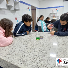 2024-laboratorio-6ano-pioxi-26