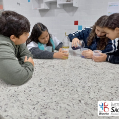 2024-laboratorio-6ano-pioxi-27