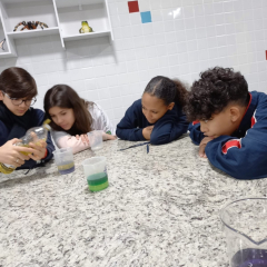 2024-laboratorio-6ano-pioxi-29