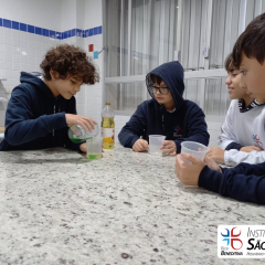 2024-laboratorio-6ano-pioxi-31