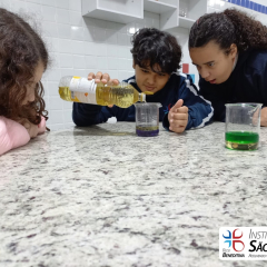 2024-laboratorio-6ano-pioxi-33