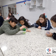 2024-laboratorio-6ano-pioxi-34