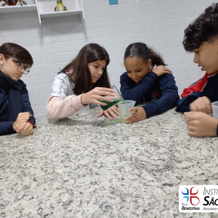 2024-laboratorio-6ano-pioxi-36