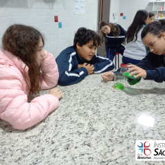 2024-laboratorio-6ano-pioxi-37