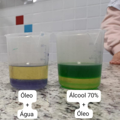 2024-laboratorio-6ano-pioxi-38