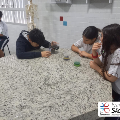 2024-laboratorio-6ano-pioxi-4