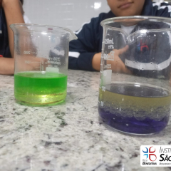 2024-laboratorio-6ano-pioxi-5