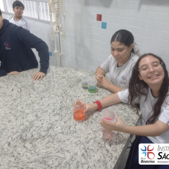 2024-laboratorio-6ano-pioxi-6