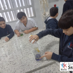 2024-laboratorio-6ano-pioxi-7