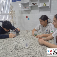 2024-laboratorio-6ano-pioxi-9