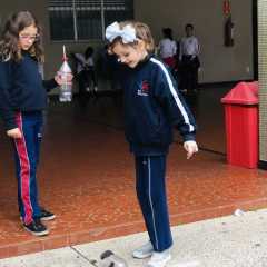 image22