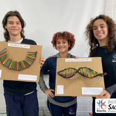 2024-dna-3em-piox-3