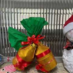 2025-6e7ano-instituto-sao-piox-osasco-12