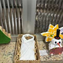 2025-6e7ano-instituto-sao-piox-osasco-18