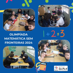 2024-olimp-matematica-piox-8