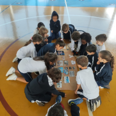 2024-olimpiadas-paraolimpiadas-piox-6