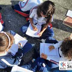 2023-piox-paisagens-7