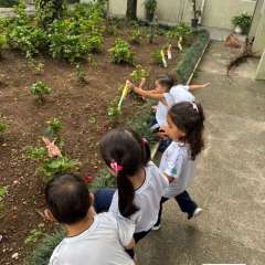 created by photogrid