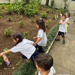 created by photogrid