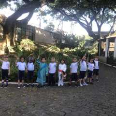 image38