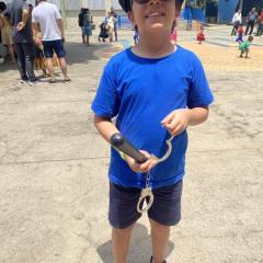 2025-piox-folia-instituto-sao-piox-67