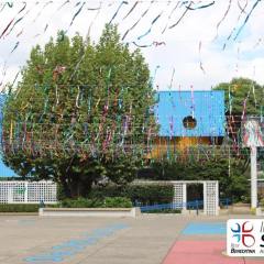 2025-piox-folia-instituto-sao-piox-1