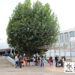 2025-piox-folia-instituto-sao-piox-98